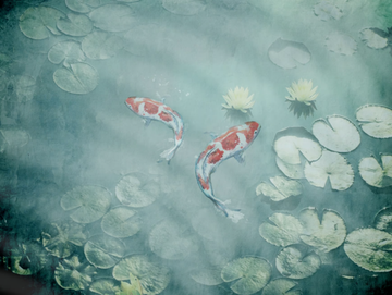 KOI - Wall tiles / wallpaper by Officinarkitettura® - view 3