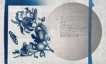 MERIANIN 1 - Wall tiles / wallpaper by Officinarkitettura® - view 3
