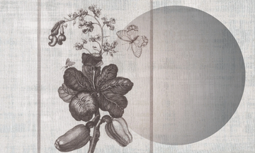 MERIANIN 7 - Wallpaper / wall tiles by Officinarkitettura® - view 3