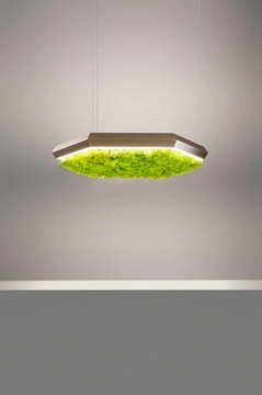 EXAGON SILENCE GREEN - LED Lichen pendant lamp by Olev - view 3