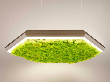 EXAGON SILENCE GREEN - LED Lichen pendant lamp by Olev - view 2