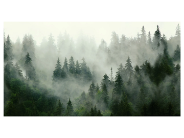 BOREAL FOREST - Panoramic wallpaper by PaperMint - view 3