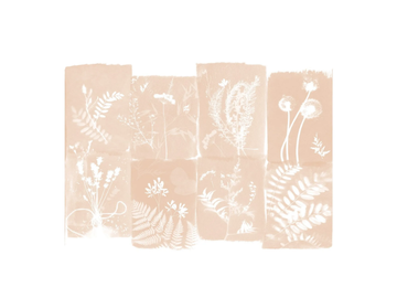 CYANOTYPE FLEURS DES CHAMPS - Panoramic wallpaper by PaperMint - view 3