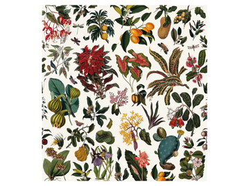FLEURS D'ANTAN - Panoramic wallpaper by PaperMint - view 3