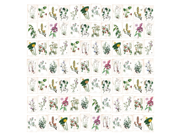 FLEURS SAUVAGES - Panoramic wallpaper by PaperMint - view 3