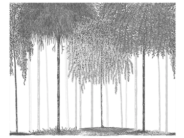 WOODS - Panoramic wallpaper by PaperMint - view 3