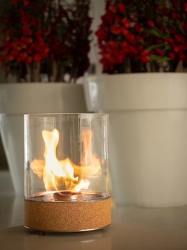 DANCING FLAMES - Bioethanol fireplace by Planika - view 3