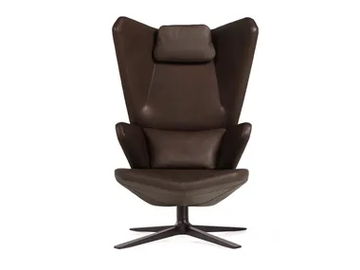 TRIFIDAE - Wing leather armchair with 4-spoke base by Prostoria - view 2