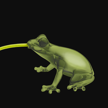HUNGRY FROG - PMMA wall lamp / table lamp by Qeeboo - view 3