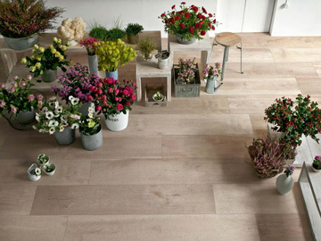 WOODSENSE - Indoor/outdoor porcelain stoneware wall/floor tiles with wood effect by Ragno - view 2