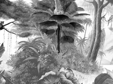 PARADIS DES TROPIQUES NOIR & BLANC - Landscape wallpaper by Ressource - view 2