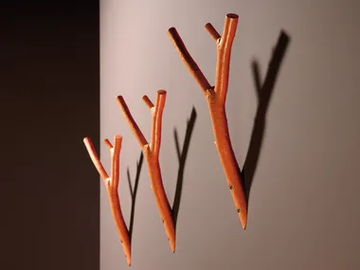 AST - Wall-mounted coat rack by Rosconi - view 2
