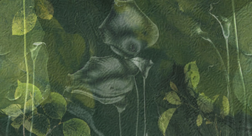AVOCADO - Ecological Tropical wallpaper by STYL’EDITIONS - view 3