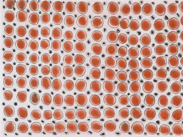 DIARI 2 - Motif Ecological wallpaper by STYL’EDITIONS - view 2