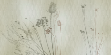 MEMOIRES - Wallpaper with floral pattern by STYL’EDITIONS - view 3