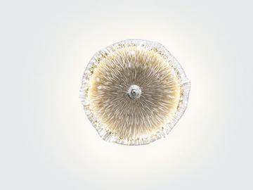 NENUFAR AURA MEDIUM - Handmade bronze wall light by Serip - view 2