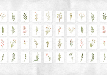 HERBARIUM - Kids wallpaper with floral pattern by Studijo - view 3