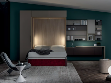 ON-OFF CONFIGURATION 277 - Storage wall with fold-away bed by TUMIDEI - view 3