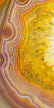 SAHARA - Polycarbonate Decorative panel by Tecnografica - view 3