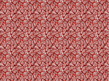 TURTLE - Motif washable wallpaper by Texturae - view 3