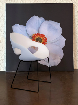Moon - Integral polyurethane foam chair with metal sled base by Tonon - view 3
