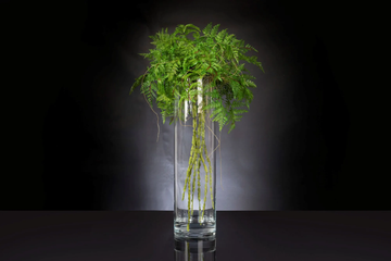 ETERNITY CILYNDER GREEN BALL TILL - Floral composition with glass vase by VGnewtrend - view 3