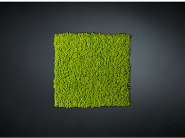 LICHENE - Vegetal frame by VGnewtrend - view 2