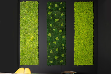 LICHENE - Vegetal frame by VGnewtrend - view 3
