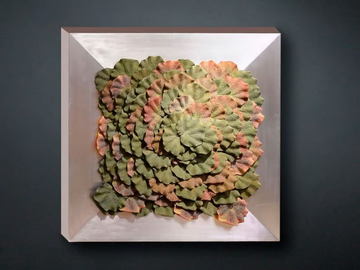BEGONIA - Vegetal frame by VGnewtrend - view 2