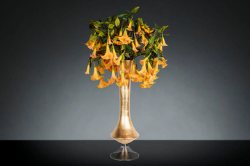 CHIARA VASE WITH DATURA - Floral composition with glass vase by VGnewtrend - view 3