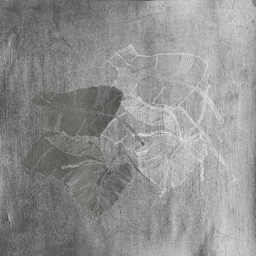 BIOPHILIA - Waterproof washable wallpaper by Wall&decò - view 3