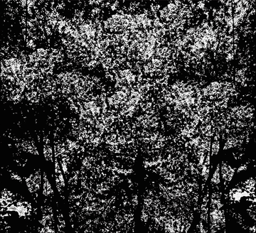IN THE BUSH - Outdoor wallpaper by Wall&decò - view 3