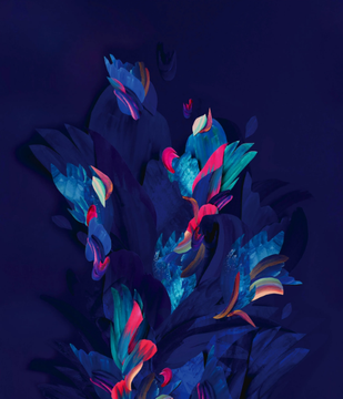 JUNGLE OF SIGNS - Vinyl wallpaper by Wall&decò - view 3