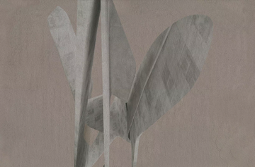 POETICO - Wallpaper with d.ecodura™ backing by Wall&decò - view 3