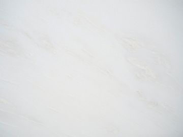 Bianco Gioia Graffiti by ABC Worldwide Stone - view 3