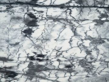 Didimon Light by ABC Worldwide Stone - view 4