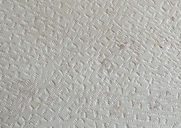 Hebron Bone Chiseled by ABC Worldwide Stone