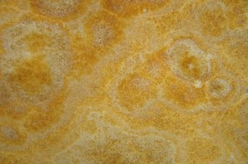 Orange Onyx by ABC Worldwide Stone