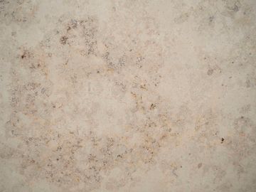 Renaissance Beige Honed by ABC Worldwide Stone