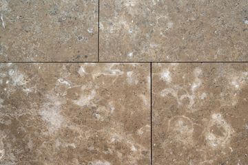 Renaissance Dolomite Honed by ABC Worldwide Stone - view 5