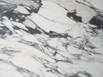 Arabescato Antico by ABC Worldwide Stone - view 2