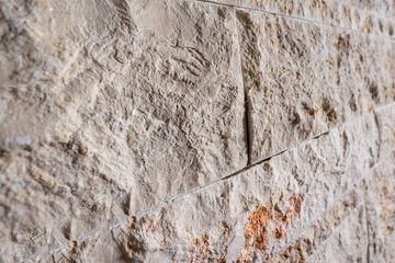 Barnes Original Limestone Split by ABC Worldwide Stone - view 5