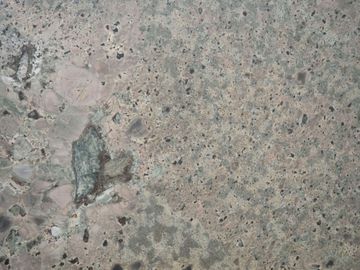 Ceppo Quartzite by ABC Worldwide Stone