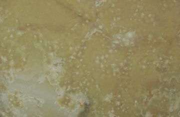 Ivory Onyx by ABC Worldwide Stone - view 2