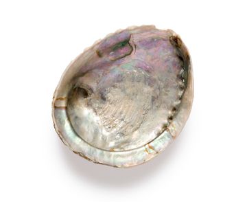 Jasper Shellflint by ABC Worldwide Stone - view 2