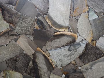 Jasper Shellflint by ABC Worldwide Stone - view 7