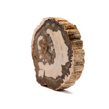 Jasper Shellflint by ABC Worldwide Stone - view 3
