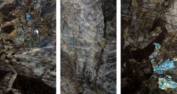Lemurian Baobab by ABC Worldwide Stone - view 5