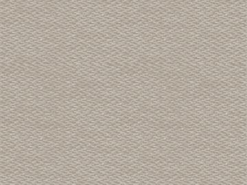 COTTON FIELDS / Art. unito-Skin by AGENA