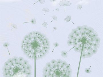 DANDELION / Art. Cold by AGENA